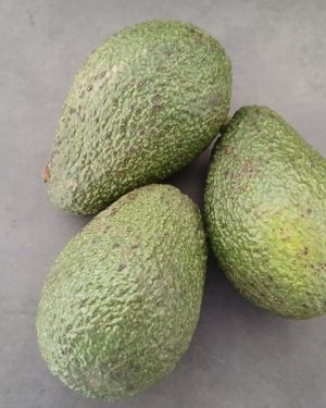Avocat Extra par barquette de 3 - Origine PEROU-