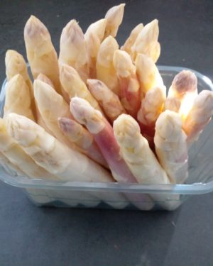 POINTE D Asperge Blanche en barq de 1kg- Origine FRANCE -