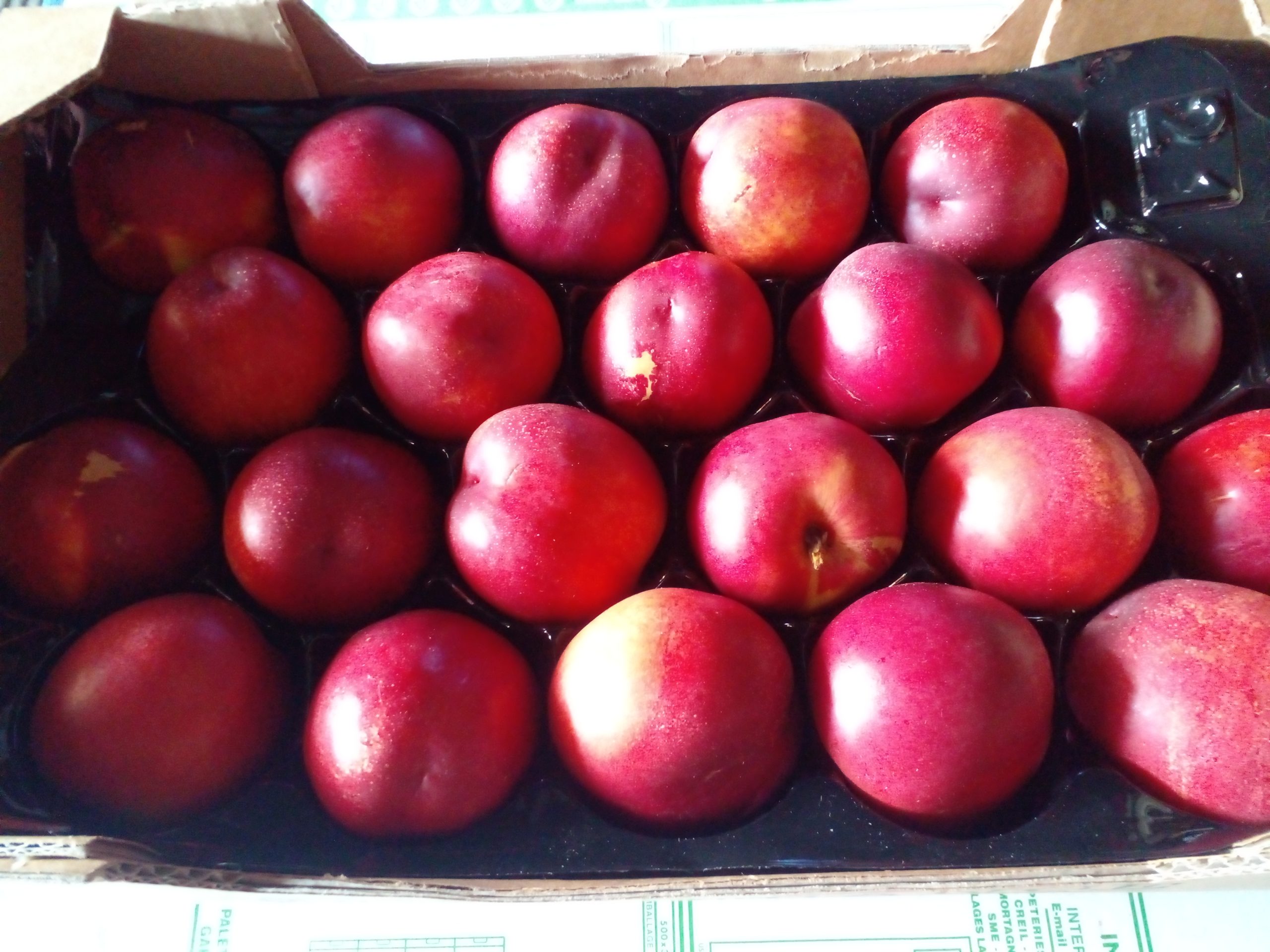 nectarine jaune en plateau de 2kg Origine FRANCE Simond Fruits