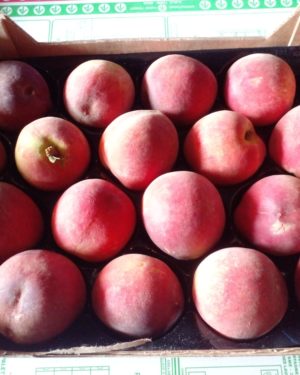 peche blanche en plateau de 2kg- Origine FRANCE -
