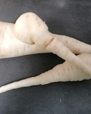 PANAIS - Origine France -