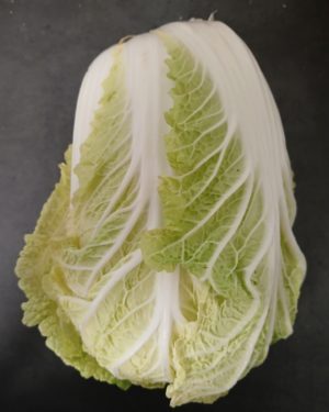 Choux chinois - Origine ALLEMAGNE-